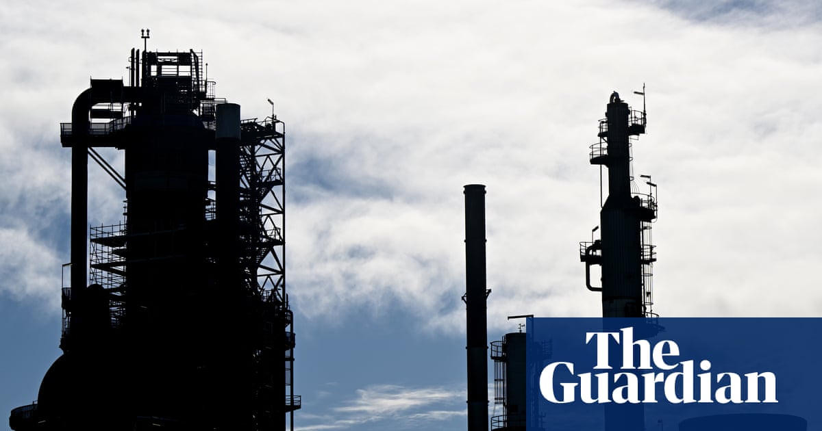 Australians will pay more if Albanese fast-tracks fossil fuel projects, former oil and gas leaders warn