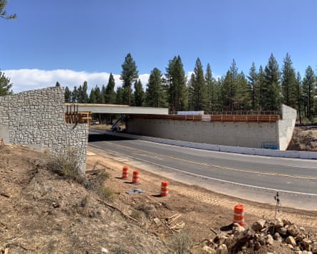 a bridge