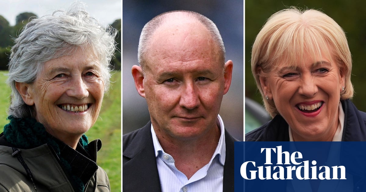 Irish presidential election candidates confirmed as three-way race begins