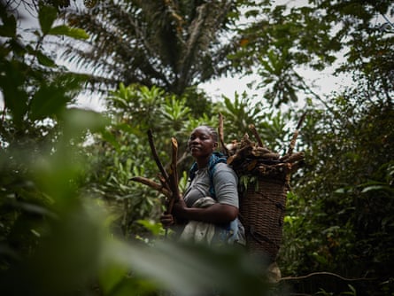 Mama Chantal collects wood in the forests around Ikengo, Équateur province