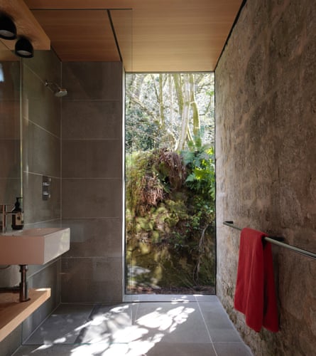 Let there be light: the shower has a glass wall which opens on to a fern bank.