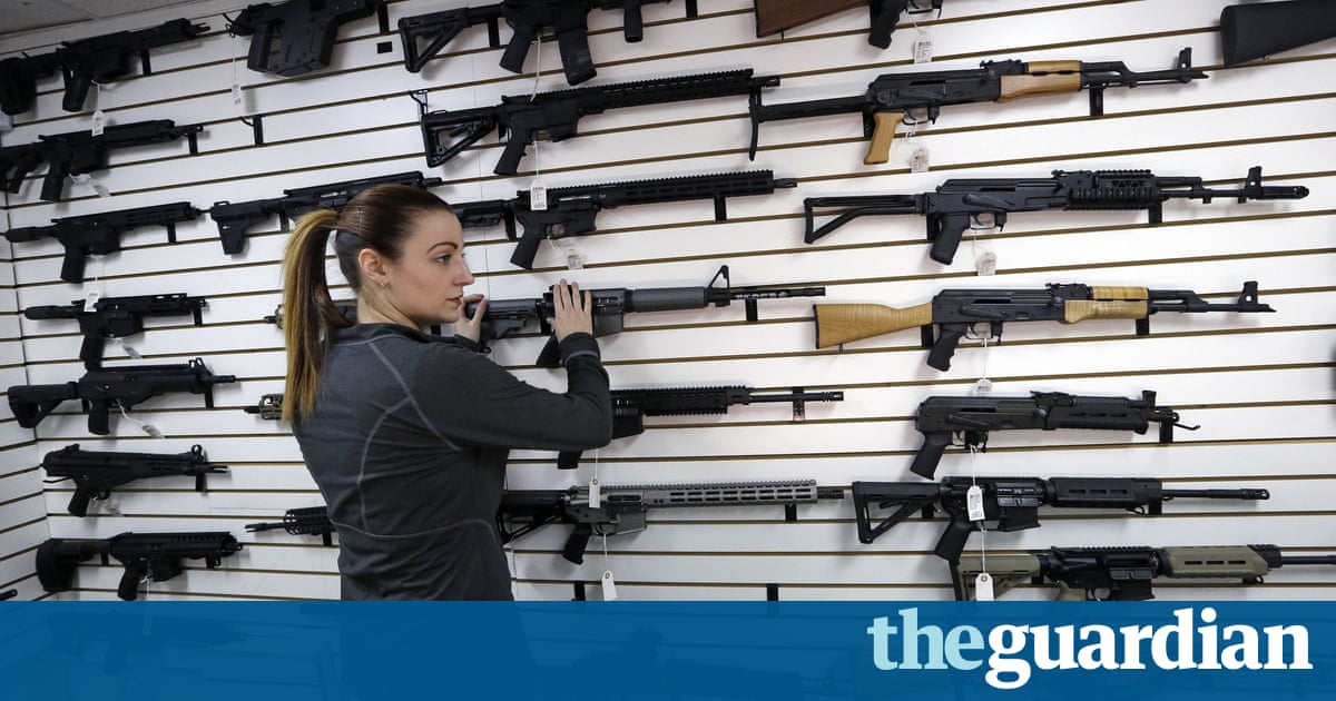 The gun numbers: just 3% of American adults own a collective 133m firearms