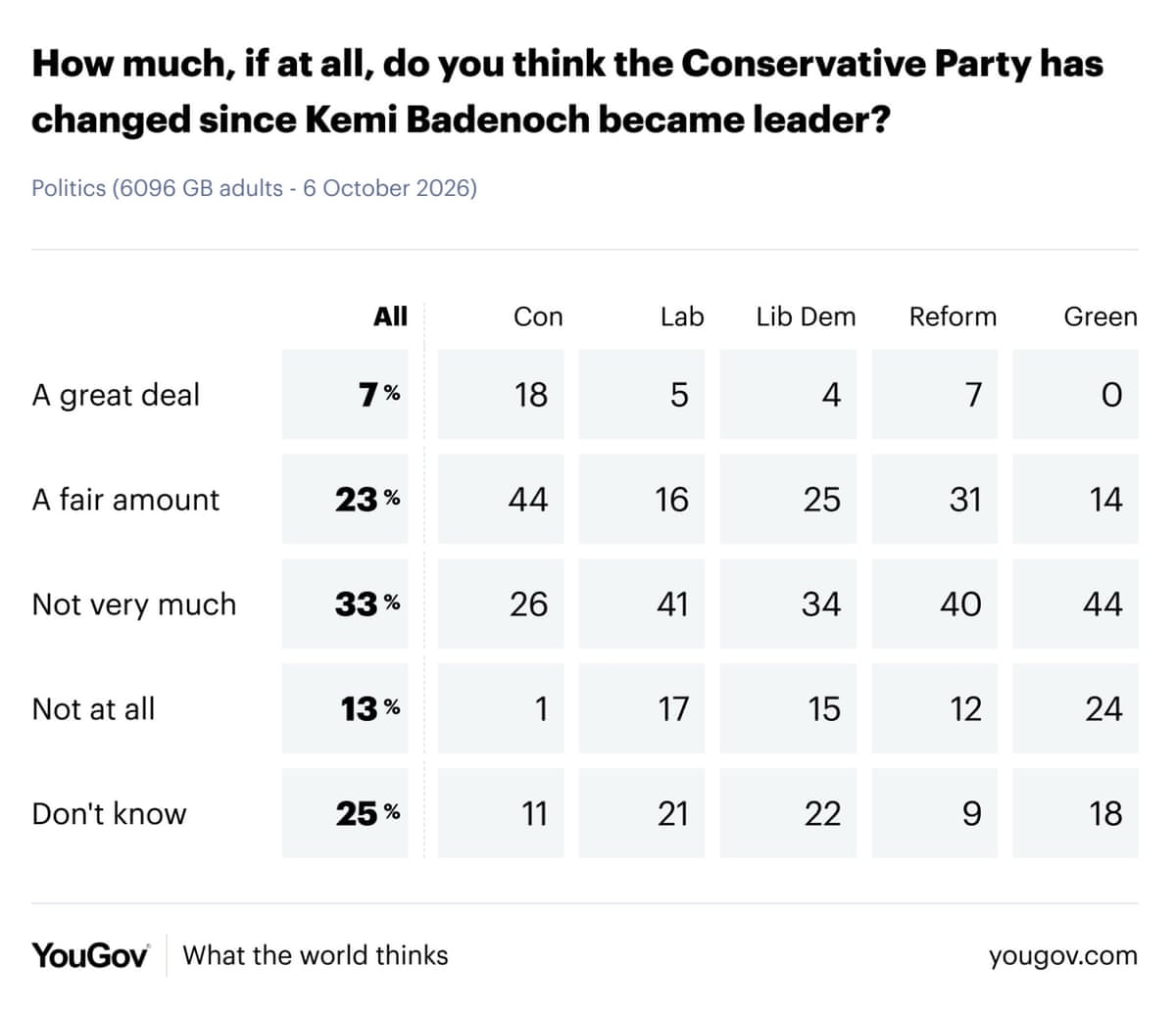 Polling on whether Tories have changed