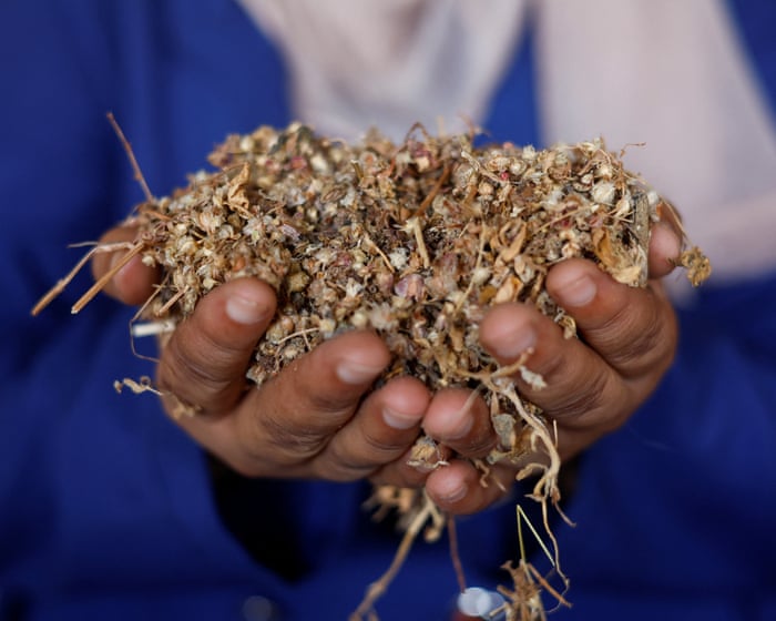 Al-Qarara Seed Bank Focuses on Local Food Sovereignty