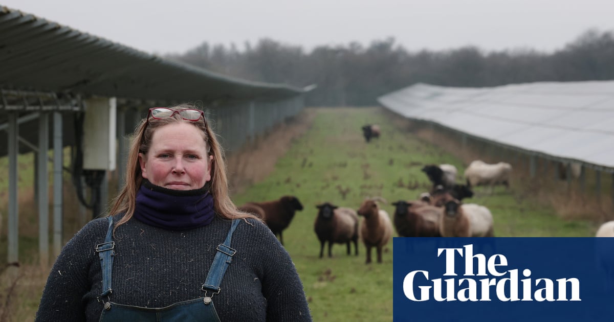 Solar grazing: ‘triple-win’ for sheep farmers, renewables and society or just a PR exercise for energy companies?
