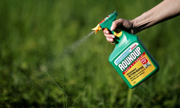 ‘Monsanto never conducted epidemiology studies for Roundup and its other formulations.’