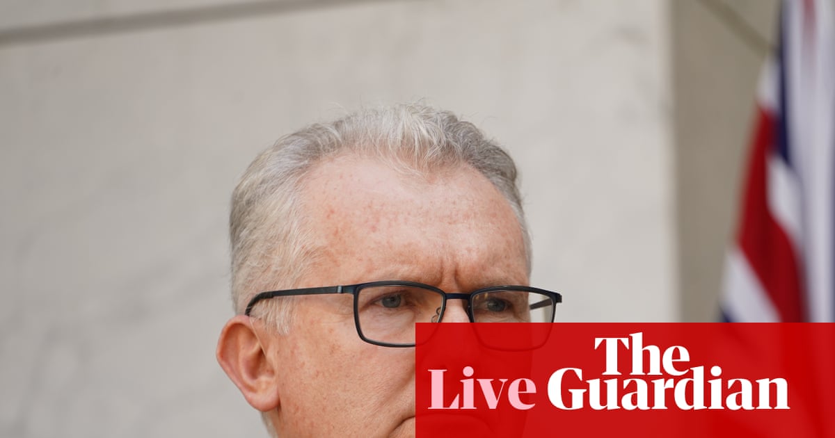 Australia news live: Tony Burke defends decision not to call royal commission into Bondi attack; Australia records highest number of road deaths since 2010