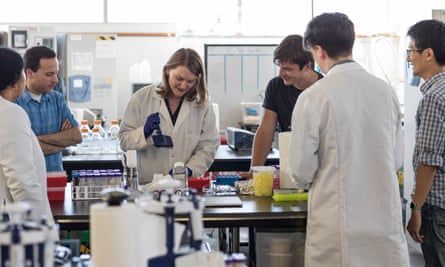 Josh Tetrick (in black T-shirt) in the Hampton Creek lab with members of his ‘clean meat’ team.