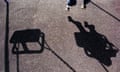 Shadow of a child playing on a swing in a playground