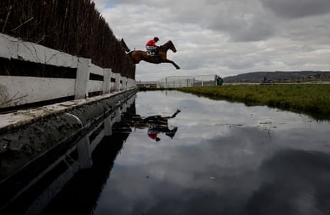 Myretown jumps over water at Cheltenham in 2025.