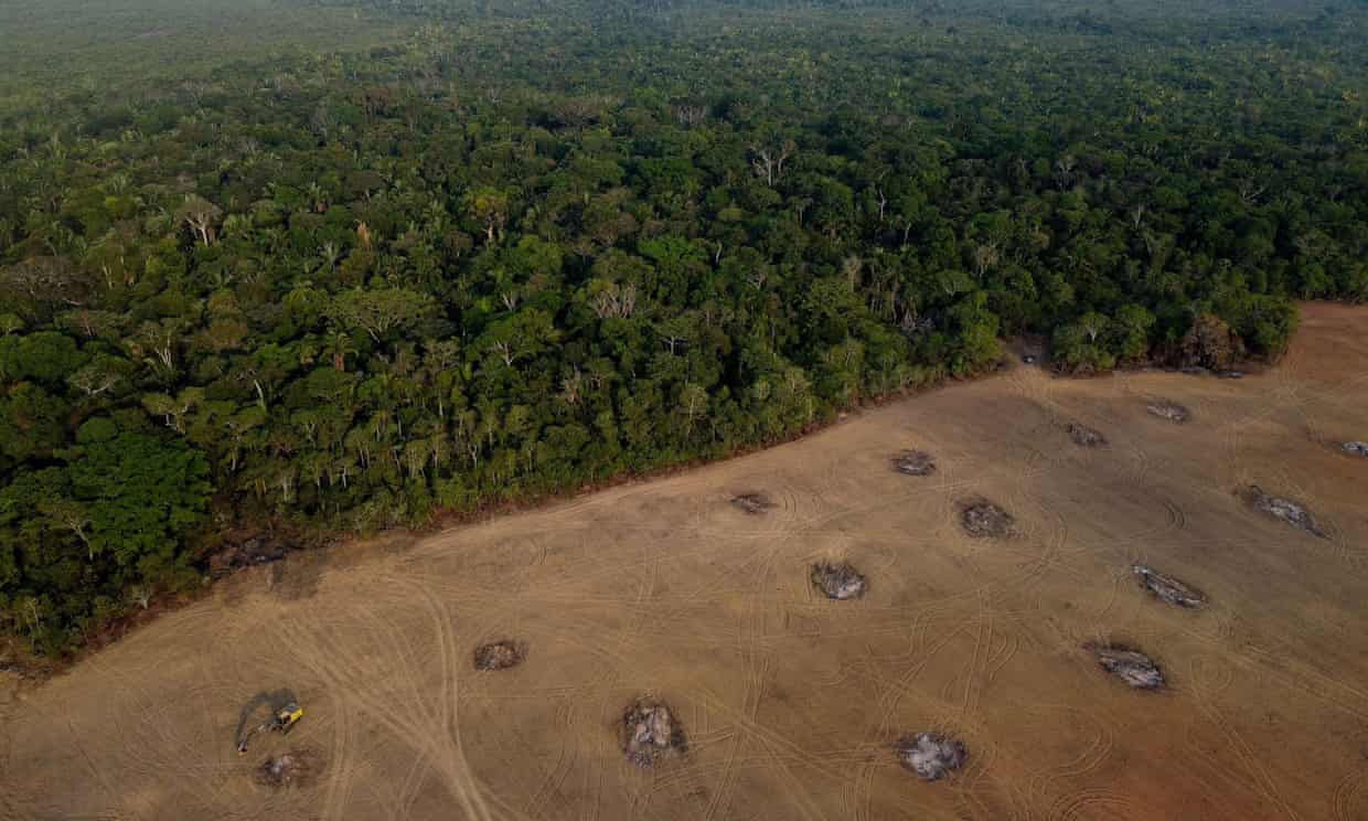 World’s central banks financing destruction of the rainforest World’s central banks financing destruction of the rainforest