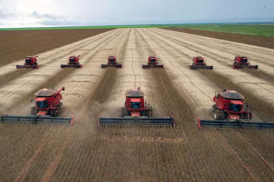 Combine harvesters crop soybeans in Campo Novo do Parecis, a former rainforest in Mato Grosso, Brazil.