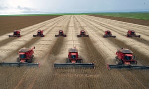 Harvesting a soybeans crop in Campo Novo do Parecis, Mato Grosso, Brazil