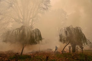 Srinagar, India: a man burns tree leaves to make charcoal at a park