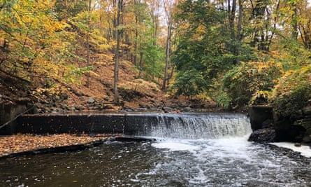 The Stroock Felt mill dam near Newburgh.