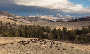 Yellowstone National Park
