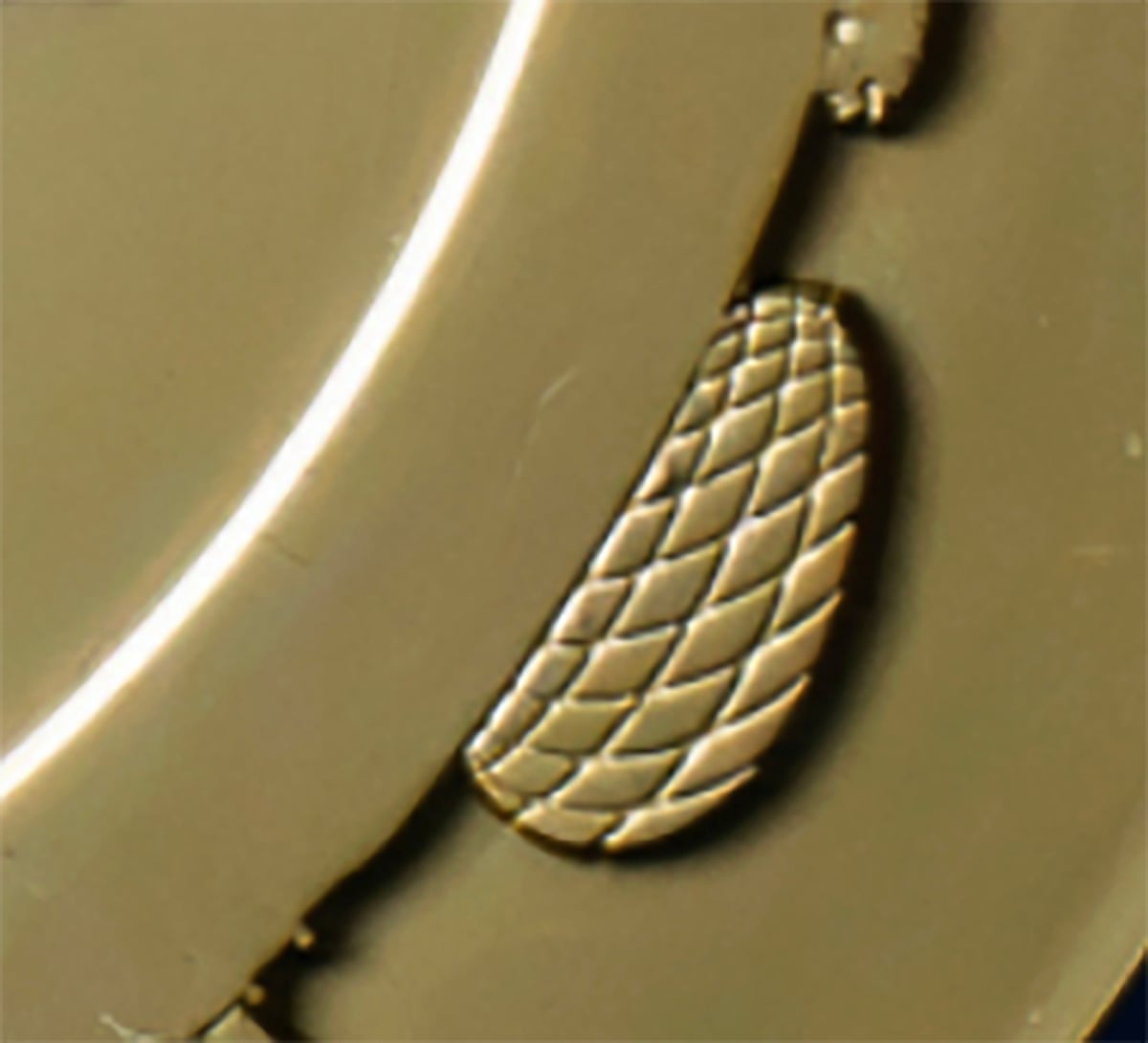 Detail of edge of medal showing birds nest like stadium