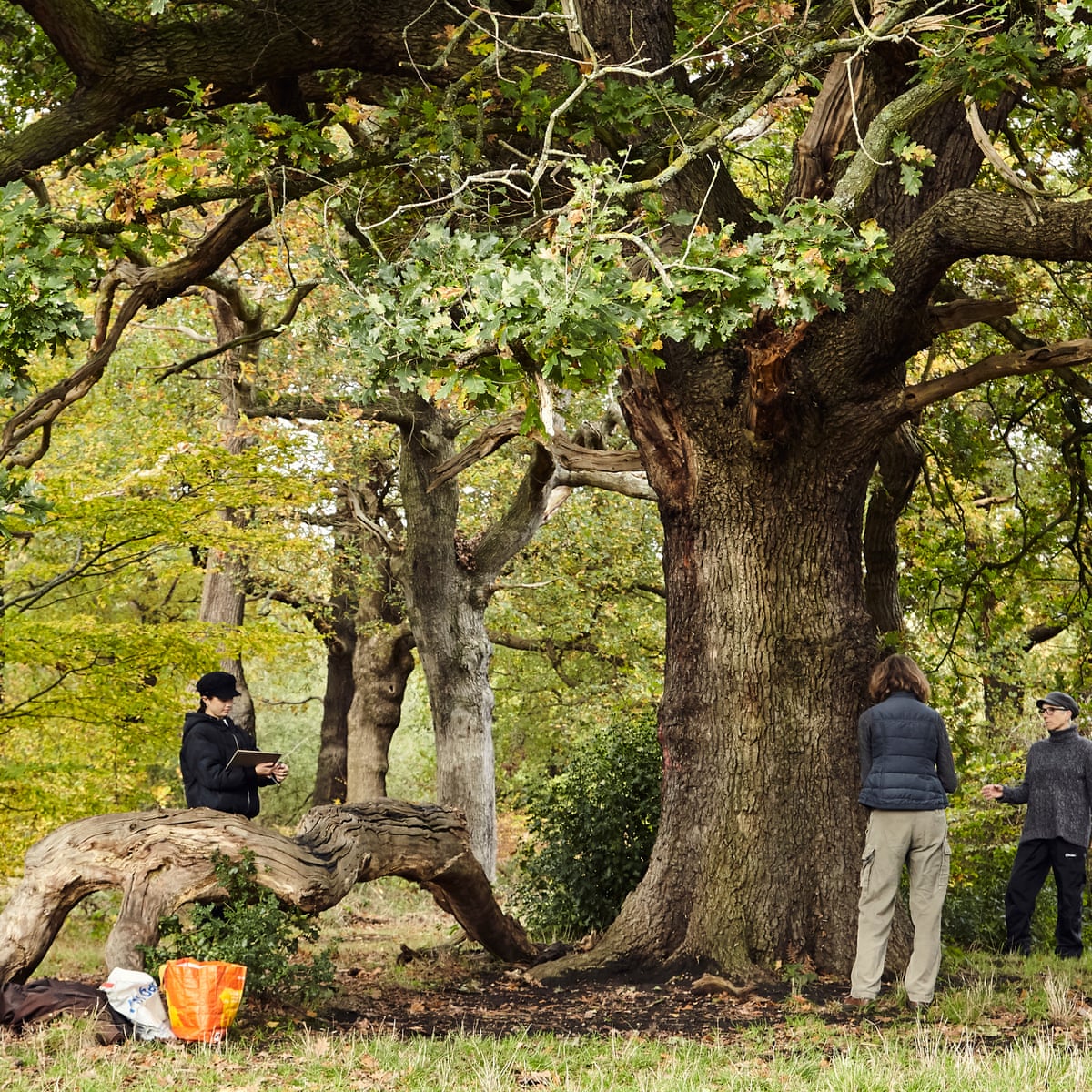 Learning To Draw In The Natural World Brings Joy Especially In Lockdown Rest And Relaxation The Guardian