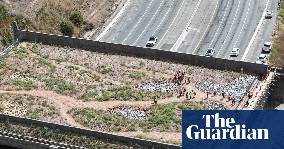 California’s wildlife bridge became a target for the right. Now it’s eyeing the finish line