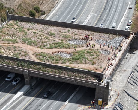 California’s wildlife bridge became a target for the right. Now it’s eyeing the finish line
