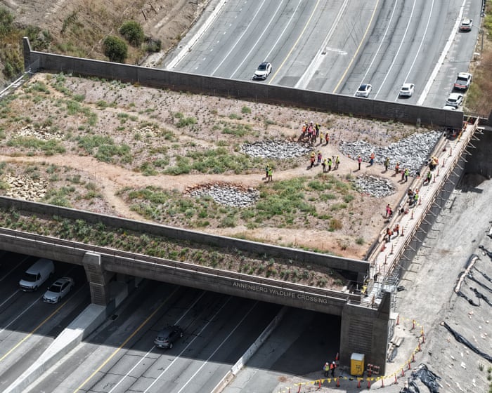 California’s wildlife bridge became a target for the right. Now it’s eyeing the finish line