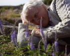 The Summer Book review – Glenn Close powers sweet-natured take on Tove Jansson’s grief classic