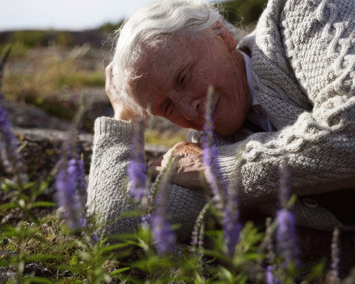 Glenn Close Shines in Heartfelt Adaptation of Tove Jansson's Grief Classic