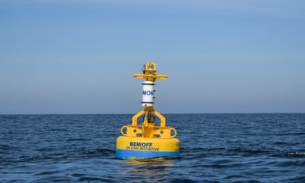 A large yellow buoy bobs on the ocean’s surface.