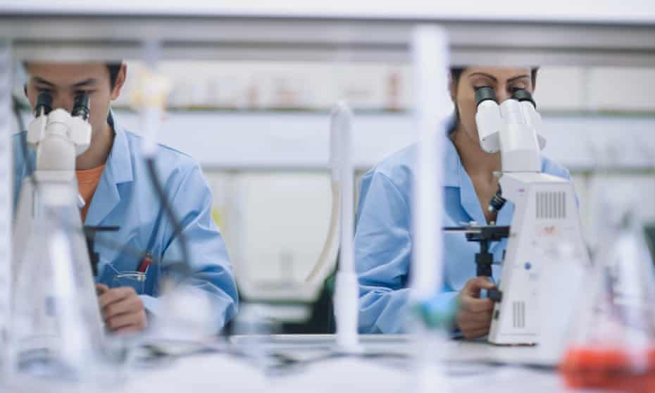 Scientists working in laboratory with microscopes