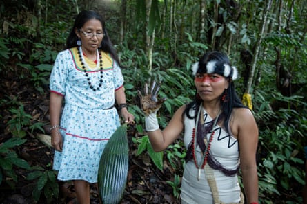 Nemonte Nenquimo rainforest headband ceremonial dress