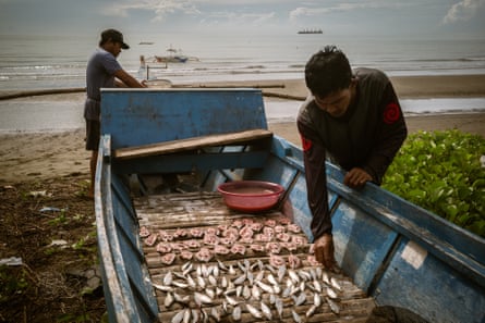 Two men lay out rows of fish in a boat