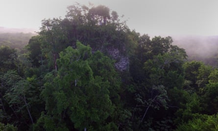 A ruined Mayan pyramid, covered in trees.