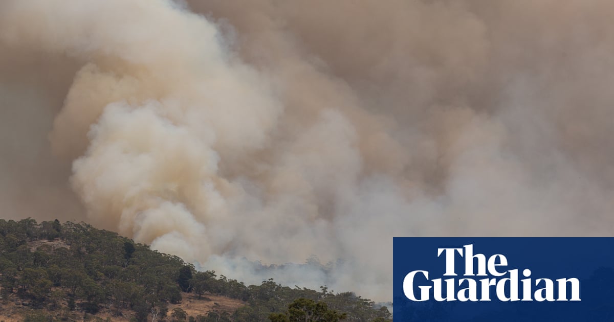 Intense heat could smash temperature records in south-east Australia with catastrophic fire danger forecast