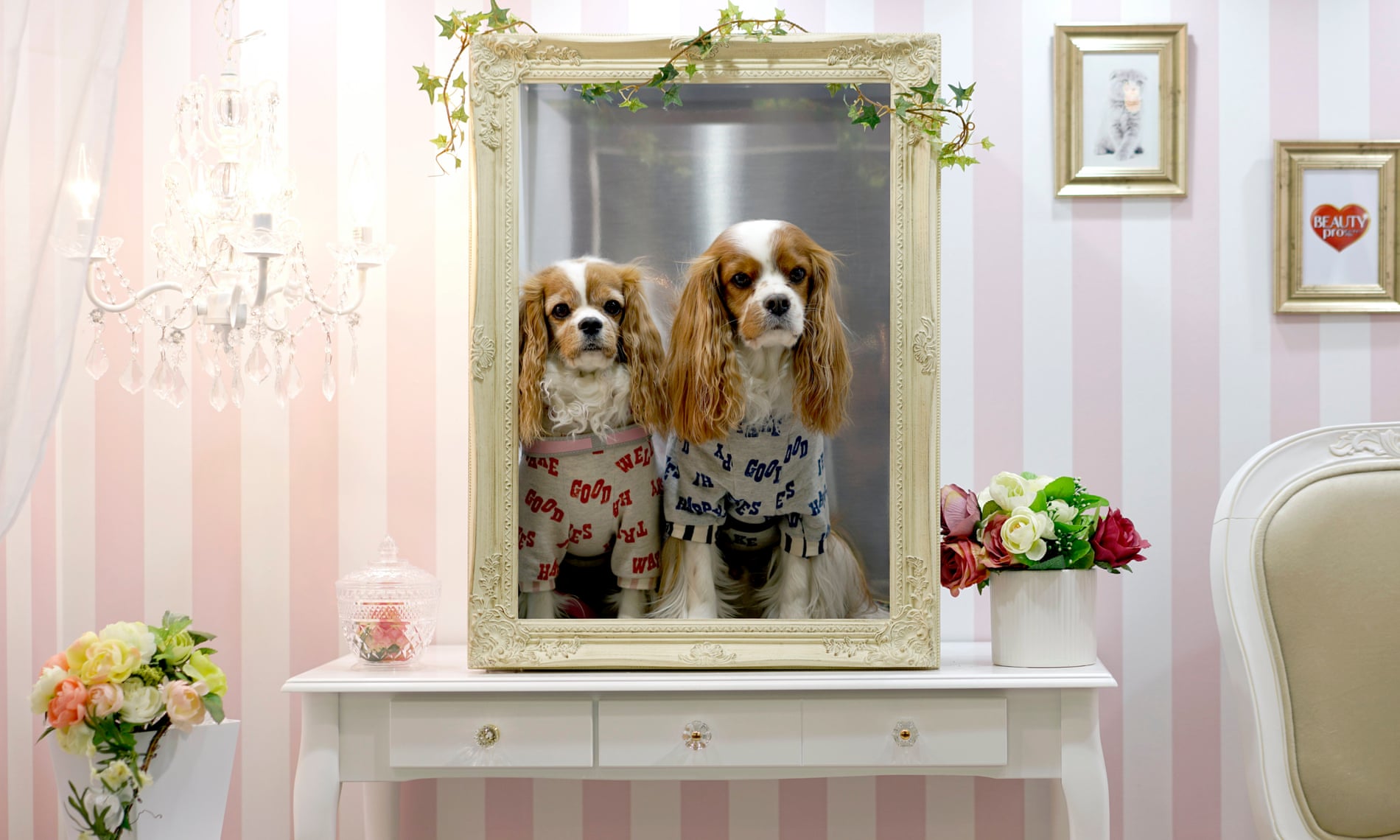 Interpets, Japan's largest pet fair – in pictures Interpets, Japan's largest pet fair – in pictures