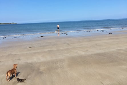 Sebastian Barry on Ross back beach, County Mayo