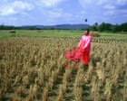 Pink Man pushing his pink trolley through a field in Thailand: Manit Sriwanichpoom’s best photograph