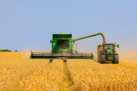 A green combine harvester cuts through a ripe yellow wheat field beneath a clear blue sky. The cut wheat is being poured through a pipe into a trailer pulled by a green tractor next to the harvester.