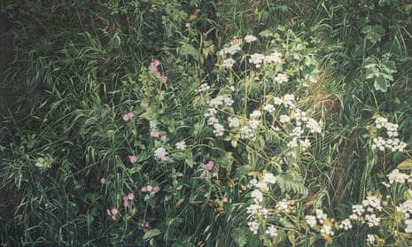 Hedgerow I, 1984, by John Henderson. The innumerable greens of hedgerows and their contrasting flowers were subjects of years of close work. 