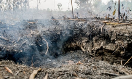 Fires on peatlands area in Palangka Raya, Central Kalimantan