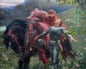 A knight in armour helps a woman in a flowing pink dress dismount a dark horse, La Belle Dame Sans Merci