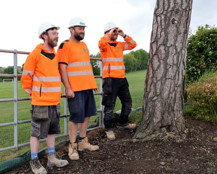 Builders at Middlesbrough’s training ground.