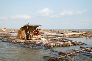 Loggers sit in a shelter built on top of floating rafts of logs that are being transported to Lagos