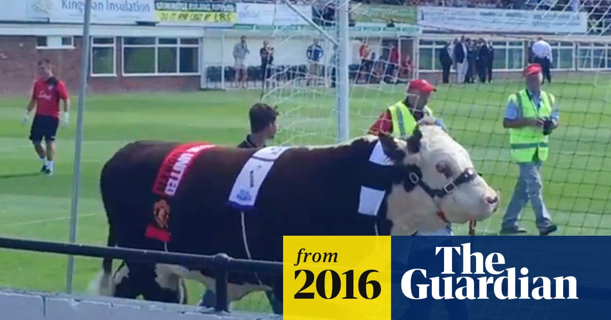 CLUB NEWS, Hereford FC Launch 'Bulls Big 6' Competition