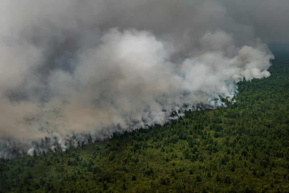 Peatland and forest burns in Indonesia during last year’s dry season. Techniques to promote rain are being used to prevent a repeat of the devastating fires.