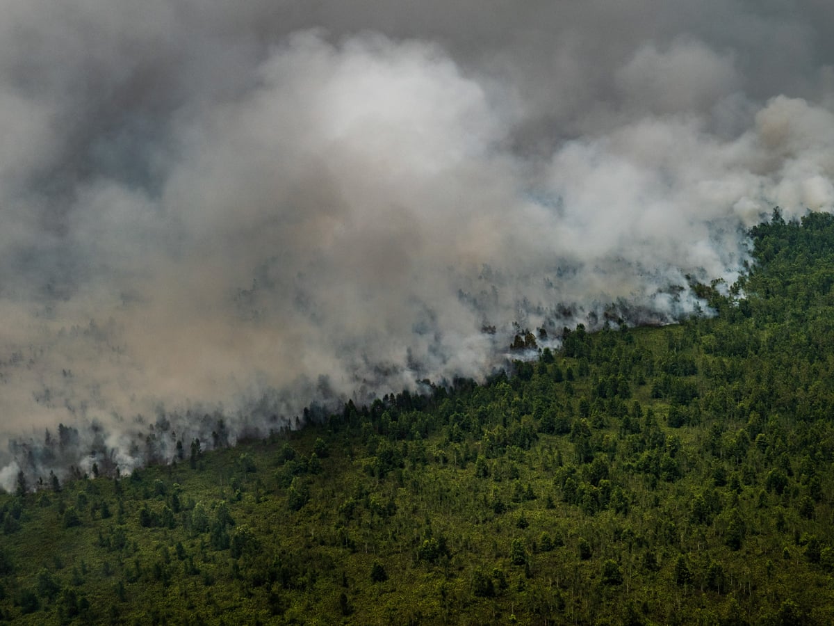 Indonesia creates 'artificial rain' to prevent repeat of ...