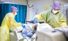 Vitamin K could help fight coronavirus, study suggests