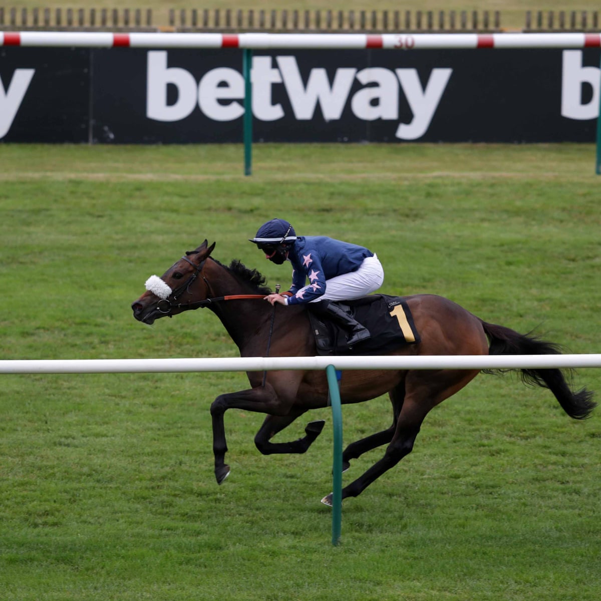 Fora Bet App Fora Bet App