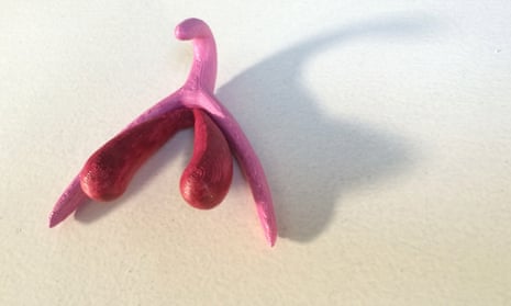 The 3D printed clitoris will be used in sex education lessons from primary level onwards from September.