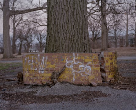 A brick wall surrounded a tree