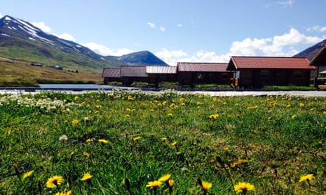 Meadows surrounding Brimnes Cabins, north Iceland